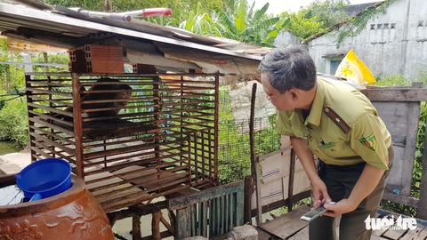 Kiểm lâm TP.HCM tiếp nhận khỉ đuôi lợn cắn chủ nhân ở huyện Bình Chánh - Ảnh 1. Kiểm lâm TP.HCM tiếp nhận khỉ đuôi lợn cắn chủ nhân ở huyện Bình Chánh - Ảnh 1.