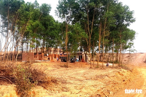 Cải tạo đất, xây công trình trái phép trên rừng phòng hộ - Ảnh 1. Cải tạo đất, xây công trình trái phép trên rừng phòng hộ - Ảnh 1.