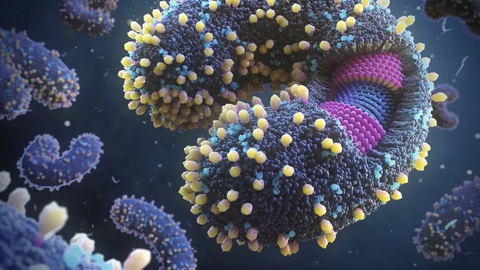 Nhiều phát hiện mới đáng lo: Virus ngày càng nguy hiểm với loài người - Ảnh 2. Nhiều phát hiện mới đáng lo: Virus ngày càng nguy hiểm với loài người - Ảnh 2.