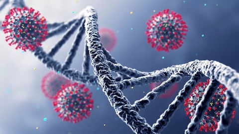 Nhiều phát hiện mới đáng lo: Virus ngày càng nguy hiểm với loài người - Ảnh 1. Nhiều phát hiện mới đáng lo: Virus ngày càng nguy hiểm với loài người - Ảnh 1.
