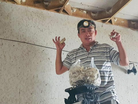 Bát nháo yến sào, đủ loại hàng giả - Ảnh 2. Bát nháo yến sào, đủ loại hàng giả - Ảnh 2.