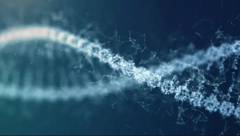 Lần đầu giải mã thành công trình tự hoàn chỉnh bộ gene người - Ảnh 1. Lần đầu giải mã thành công trình tự hoàn chỉnh bộ gene người - Ảnh 1.