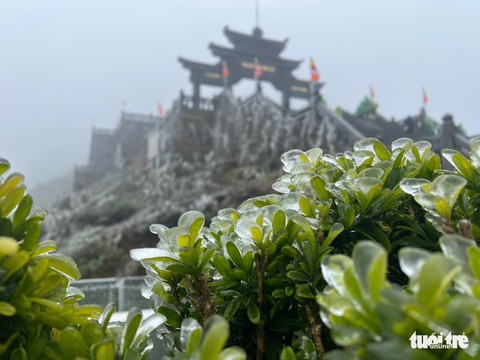 Băng giá bất ngờ phủ đỉnh Fansipan, nhiều tỉnh có mưa lớn - Ảnh 2. Băng giá bất ngờ phủ đỉnh Fansipan, nhiều tỉnh có mưa lớn - Ảnh 2.