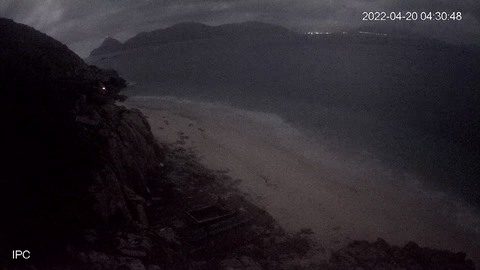 Tắt đèn trợ sáng của camera quan sát ở Hòn Cau, Côn Đảo để giúp rùa đẻ trứng - Ảnh 2. Tắt đèn trợ sáng của camera quan sát ở Hòn Cau, Côn Đảo để giúp rùa đẻ trứng - Ảnh 2.