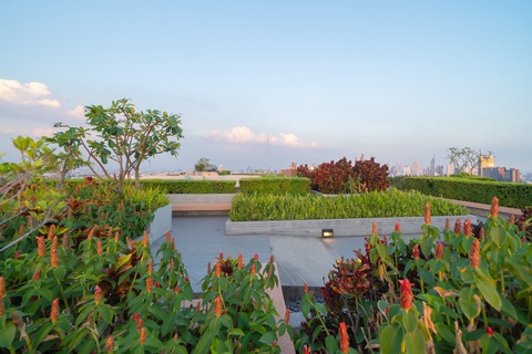 An Gia ra mắt 15 căn villa tại trung tâm hành chính Bình Chánh - Ảnh 2. An Gia ra mắt 15 căn villa tại trung tâm hành chính Bình Chánh - Ảnh 2.