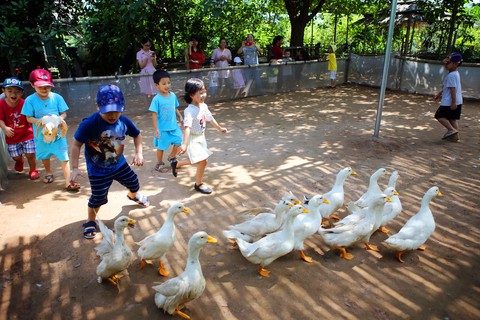 Suốt 10 năm qua, tôi chọn ở nhà vào các kỳ nghỉ lễ - Ảnh 3. Suốt 10 năm qua, tôi chọn ở nhà vào các kỳ nghỉ lễ - Ảnh 3.