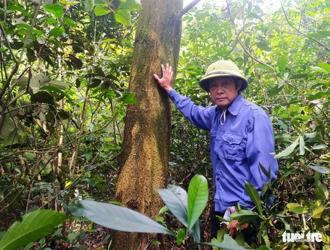 15ha đất rừng bỗng dưng về tay chủ khác dù dân vẫn cầm trong tay sổ đỏ - Ảnh 1. 15ha đất rừng bỗng dưng về tay chủ khác dù dân vẫn cầm trong tay sổ đỏ - Ảnh 1.