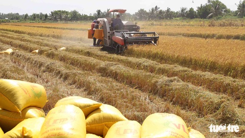 Nâng cao chất lượng nông sản Việt - Kỳ 3: Không thể không sản xuất sạch - Ảnh 1. Nâng cao chất lượng nông sản Việt - Kỳ 3: Không thể không sản xuất sạch - Ảnh 1.
