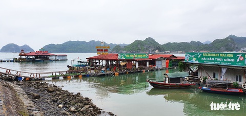 Chủ nhà hàng nổi tại vịnh trung tâm Cát Bà kêu cứu vì phải di dời đúng ‘cao điểm’ du lịch - Ảnh 1. Chủ nhà hàng nổi tại vịnh trung tâm Cát Bà kêu cứu vì phải di dời đúng ‘cao điểm’ du lịch - Ảnh 1.