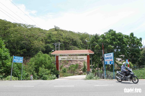 Mê mẩn khung cảnh biển, núi và rừng trên cung đường ven biển Ninh Thuận - Khánh Hòa - Ảnh 6. Mê mẩn khung cảnh biển, núi và rừng trên cung đường ven biển Ninh Thuận - Khánh Hòa - Ảnh 6.