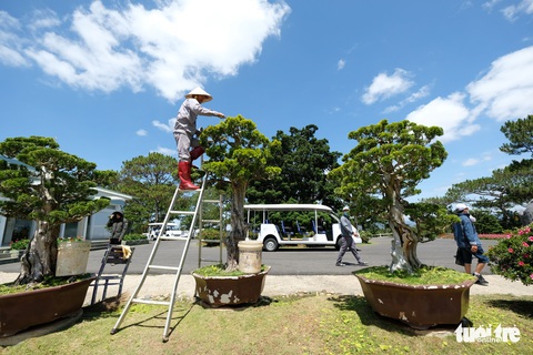 Dalat Dalat