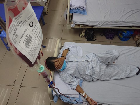 Bệnh tan máu bẩm sinh: ‘Cần phòng bệnh hơn chữa bệnh’ - Ảnh 1. Bệnh tan máu bẩm sinh: ‘Cần phòng bệnh hơn chữa bệnh’ - Ảnh 1.