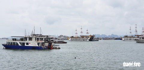 Lễ hội, pháo hoa, nhiều hoạt động lên rừng xuống biển chờ đón khách dịp lễ - Ảnh 3. Lễ hội, pháo hoa, nhiều hoạt động lên rừng xuống biển chờ đón khách dịp lễ - Ảnh 3.