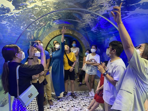 Say mê với bể nuôi sinh vật biển xuyên núi Cảnh Long - Ảnh 1. Say mê với bể nuôi sinh vật biển xuyên núi Cảnh Long - Ảnh 1.
