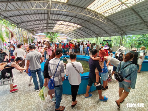 Du khách ùn ùn đi tour đảo Nha Trang dù trời mưa - Ảnh 7. Du khách ùn ùn đi tour đảo Nha Trang dù trời mưa - Ảnh 7.