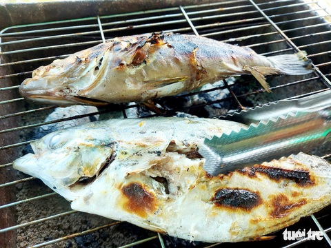 Rạch Vẹm - nơi lý tưởng để khách đi du lịch trải nghiệm dịp lễ 30-4 - Ảnh 4. Rạch Vẹm - nơi lý tưởng để khách đi du lịch trải nghiệm dịp lễ 30-4 - Ảnh 4.