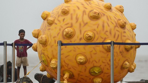 CDC Mỹ: virus adeno 41 có thể là nguyên nhân gây viêm gan bí ẩn ở trẻ - Ảnh 1. CDC Mỹ: virus adeno 41 có thể là nguyên nhân gây viêm gan bí ẩn ở trẻ - Ảnh 1.