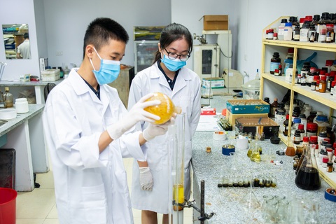 Mô hình đào tạo cá nhân hoá: Biến tiềm năng thành tài năng - Ảnh 1. Mô hình đào tạo cá nhân hoá: Biến tiềm năng thành tài năng - Ảnh 1.