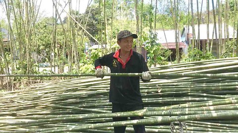 Những người ngược dòng ở lại quê - Ảnh 1. Những người ngược dòng ở lại quê - Ảnh 1.