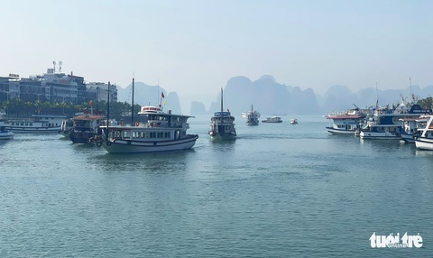 Du khách nườm nượp đổ về Hải Phòng, Quảng Ninh dịp nghỉ lễ giỗ Tổ Hùng Vương - Ảnh 4. Du khách nườm nượp đổ về Hải Phòng, Quảng Ninh dịp nghỉ lễ giỗ Tổ Hùng Vương - Ảnh 4.