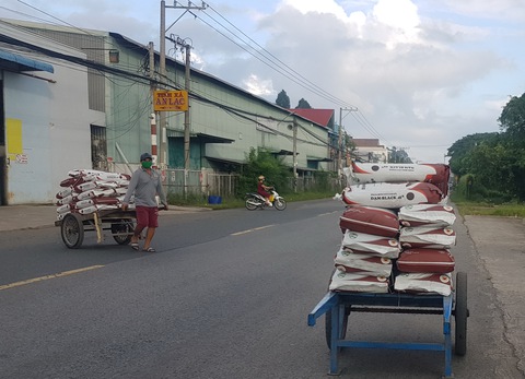 Giá cao nhất 50 năm, nên cấm xuất khẩu phân bón? - Ảnh 1. Giá cao nhất 50 năm, nên cấm xuất khẩu phân bón? - Ảnh 1.
