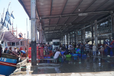 Ngư dân vững tâm ra khơi: Biển của mình thì mình đánh bắt - Ảnh 3. Ngư dân vững tâm ra khơi: Biển của mình thì mình đánh bắt - Ảnh 3.