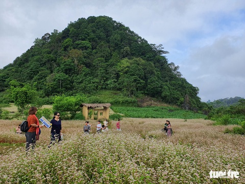 Du khách phương Nam đến Hà Giang, Tuyên Quang tăng mạnh - Ảnh 2. Du khách phương Nam đến Hà Giang, Tuyên Quang tăng mạnh - Ảnh 2.