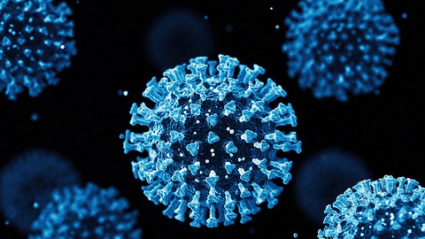 Các nhà khoa học Bỉ khám phá ra cách ngăn ngừa virus SARS-CoV-2 - Ảnh 1. Các nhà khoa học Bỉ khám phá ra cách ngăn ngừa virus SARS-CoV-2 - Ảnh 1.
