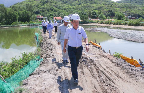 Lãnh đạo truyền tải điện quốc gia thăm lực lượng thi công tại dự án điện trọng điểm - Ảnh 2. Lãnh đạo truyền tải điện quốc gia thăm lực lượng thi công tại dự án điện trọng điểm - Ảnh 2.