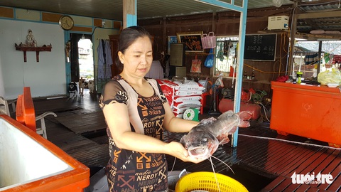 Hàng trăm tấn cá làng bè Châu Đốc chết hàng loạt, nghi nguồn nước ô nhiễm - Ảnh 4. Hàng trăm tấn cá làng bè Châu Đốc chết hàng loạt, nghi nguồn nước ô nhiễm - Ảnh 4.