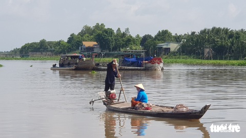 Di dời trên 20 bè cá Châu Đốc ra khỏi nơi có hàng trăm tấn cá chết - Ảnh 1. Di dời trên 20 bè cá Châu Đốc ra khỏi nơi có hàng trăm tấn cá chết - Ảnh 1.