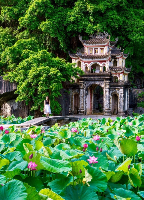 Khám phá món ngon, cảnh đẹp của mảnh đất cố đô Ninh Bình - Ảnh 10. Khám phá món ngon, cảnh đẹp của mảnh đất cố đô Ninh Bình - Ảnh 10.