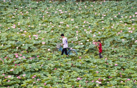 Khám phá món ngon, cảnh đẹp của mảnh đất cố đô Ninh Bình - Ảnh 3. Khám phá món ngon, cảnh đẹp của mảnh đất cố đô Ninh Bình - Ảnh 3.