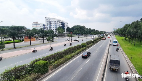 Hơn 2.000 gốc bông giấy trồng dọc dải phân cách quốc lộ 1 ở TP.HCM bị đào trộm - Ảnh 3. Hơn 2.000 gốc bông giấy trồng dọc dải phân cách quốc lộ 1 ở TP.HCM bị đào trộm - Ảnh 3.