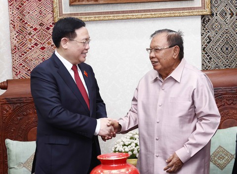 Chủ tịch Quốc hội Vương Đình Huệ gặp Tổng bí thư, Chủ tịch nước Lào - Ảnh 3. Chủ tịch Quốc hội Vương Đình Huệ gặp Tổng bí thư, Chủ tịch nước Lào - Ảnh 3.