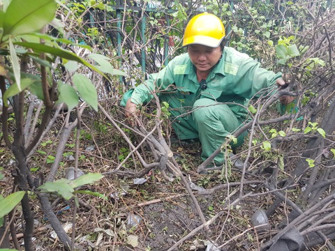 Mất nắp cống, cáp điện, lưới chắn rác... ăn cắp của công, không thể xem nhẹ - Ảnh 1. Mất nắp cống, cáp điện, lưới chắn rác... ăn cắp của công, không thể xem nhẹ - Ảnh 1.