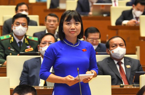Đừng nên đòi hỏi, kỳ vọng học sinh làu làu lịch sử như con vẹt rồi trả bài - Ảnh 1. Đừng nên đòi hỏi, kỳ vọng học sinh làu làu lịch sử như con vẹt rồi trả bài - Ảnh 1.