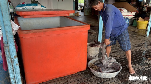 Kết quả bước đầu nguyên nhân khiến hàng trăm tấn cá chết bất thường ở làng bè Châu Đốc - Ảnh 1. Kết quả bước đầu nguyên nhân khiến hàng trăm tấn cá chết bất thường ở làng bè Châu Đốc - Ảnh 1.