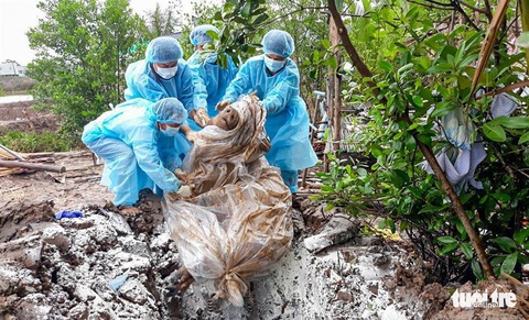 Tin sáng 18-5: Tăng học phí thời điểm này có hợp lý? Hà Nội 0 ca tử vong, giải thể cơ sở thu dung - Ảnh 3. Tin sáng 18-5: Tăng học phí thời điểm này có hợp lý? Hà Nội 0 ca tử vong, giải thể cơ sở thu dung - Ảnh 3.