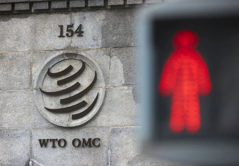 Nga cân nhắc rút khỏi WTO, WHO - Ảnh 1. Nga cân nhắc rút khỏi WTO, WHO - Ảnh 1.