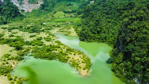 Thảo nguyên Đồng Lâm thay áo mới mùa nước nổi, đẹp như cổ tích - Ảnh 2. Thảo nguyên Đồng Lâm thay áo mới mùa nước nổi, đẹp như cổ tích - Ảnh 2.