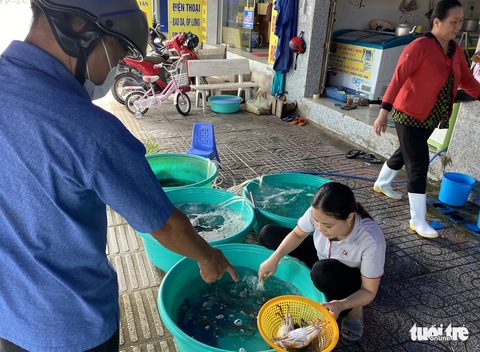 Vũng Tàu: khách không đông, giá hải sản chỉ tăng nhẹ - Ảnh 2. Vũng Tàu: khách không đông, giá hải sản chỉ tăng nhẹ - Ảnh 2.