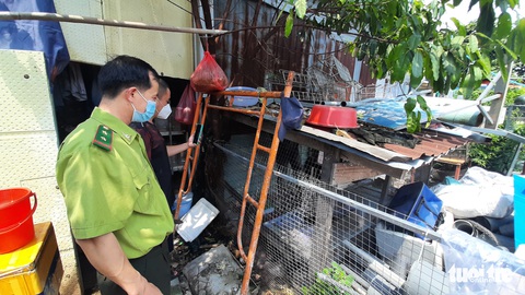 Kiểm lâm tiếp nhận con khỉ từng sổng chuồng, có lần giật đồ ăn trên tay trẻ nhỏ - Ảnh 4. Kiểm lâm tiếp nhận con khỉ từng sổng chuồng, có lần giật đồ ăn trên tay trẻ nhỏ - Ảnh 4.