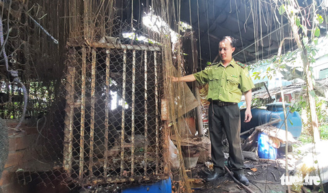 Kiểm lâm tiếp nhận con khỉ từng sổng chuồng, có lần giật đồ ăn trên tay trẻ nhỏ - Ảnh 1. Kiểm lâm tiếp nhận con khỉ từng sổng chuồng, có lần giật đồ ăn trên tay trẻ nhỏ - Ảnh 1.