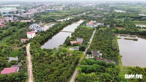 Biệt phủ, nhà vườn mọc như ‘nấm’ trên đất nông trường - Ảnh 3. Biệt phủ, nhà vườn mọc như ‘nấm’ trên đất nông trường - Ảnh 3.