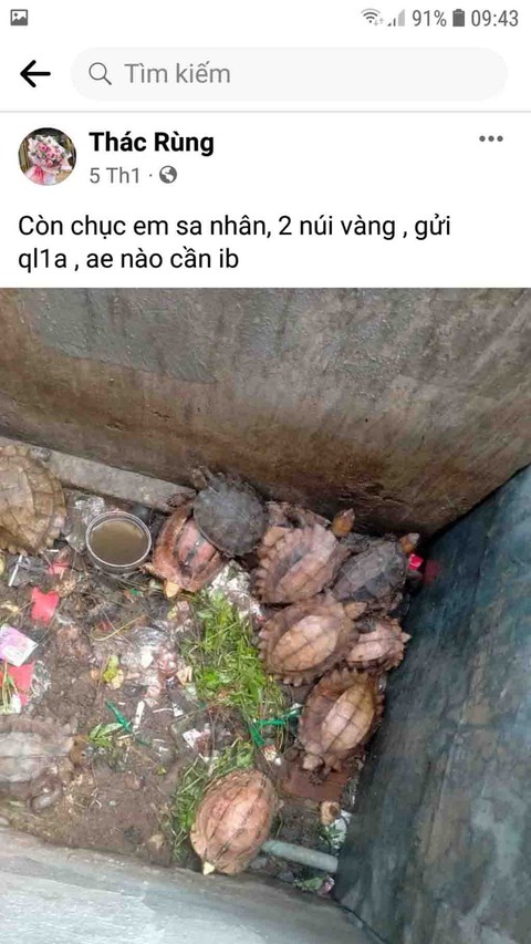 Đi chợ Đồ rừng - Kỳ 2: Ma trận buôn thú rừng trên mạng - Ảnh 2. Đi chợ Đồ rừng - Kỳ 2: Ma trận buôn thú rừng trên mạng - Ảnh 2.