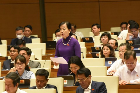 Đổi mới sách giáo khoa vẫn giậm chân tại chỗ, đại biểu đề nghị Quốc hội giám sát tối cao - Ảnh 1. Đổi mới sách giáo khoa vẫn giậm chân tại chỗ, đại biểu đề nghị Quốc hội giám sát tối cao - Ảnh 1.