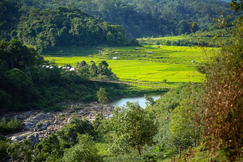 Măng Đen hoang sơ - nốt nhạc trầm lắng giữa núi rừng Tây Nguyên - Ảnh 3. Măng Đen hoang sơ - nốt nhạc trầm lắng giữa núi rừng Tây Nguyên - Ảnh 3.