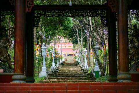 Măng Đen hoang sơ - nốt nhạc trầm lắng giữa núi rừng Tây Nguyên - Ảnh 8. Măng Đen hoang sơ - nốt nhạc trầm lắng giữa núi rừng Tây Nguyên - Ảnh 8.