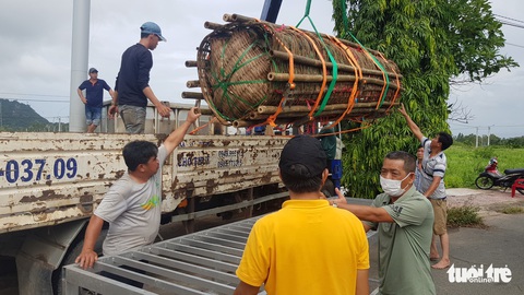 Cận cảnh cặp bánh tét 3,6 tấn dâng cúng Bà Chúa Xứ núi Sam - Ảnh 2. Cận cảnh cặp bánh tét 3,6 tấn dâng cúng Bà Chúa Xứ núi Sam - Ảnh 2.